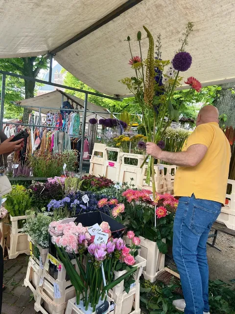 🇳🇱 Netherlands Travel Tips (Learned the Hard Way!)