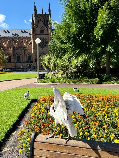 🇦🇺 Sydney 3D3N Ultimate Guide: Must-See, Eat & Photograph!