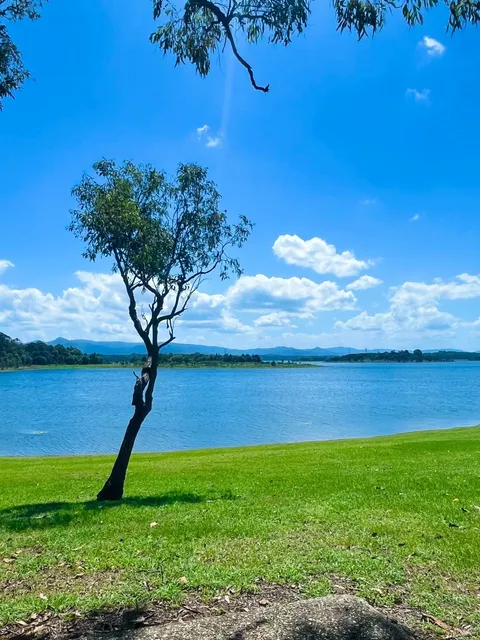 ✨ Is This What They Call a High-Vibe Zone?📍 Brisbane