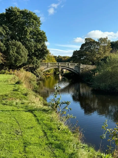 🏴󠁧󠁢󠁳󠁣󠁴󠁿 Glasgow Day Trip: Highland Cow Adventure! 🐮🌿