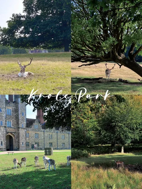 Medieval Estate 🎄 Near London 🇬🇧