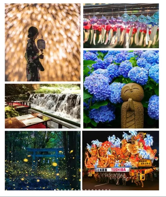 🌞 Japan Summer Limited Edition Play Guide