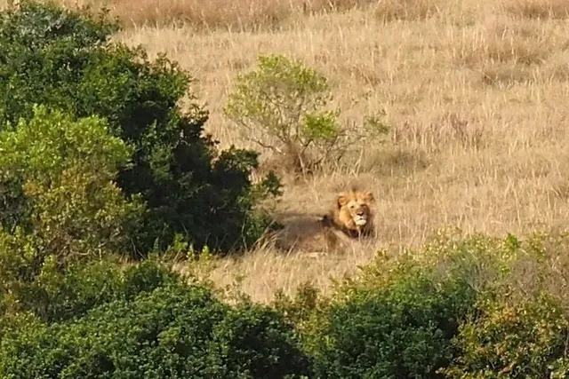 🇿🇦 | Where Freedom Meets Privilege