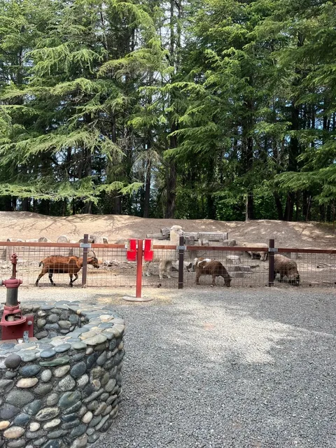 🇺🇸 Sonoma TrainTown Railroad – A Choo-Choo Paradise for Kids! 🚂🌿