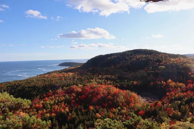 Fall Foliage Viewing & Lobster + Blueberry Food Hunt in Acadia, Maine