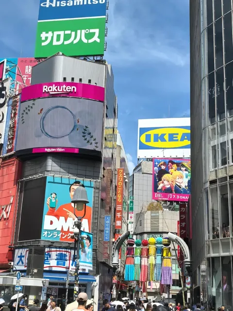 ✨ Must-Visit Attractions (2) 🌸🌺