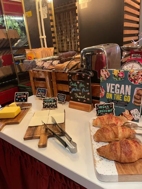 🌟 The Perfect Friendly Hotel – An Unforgettable Stay! 🌟