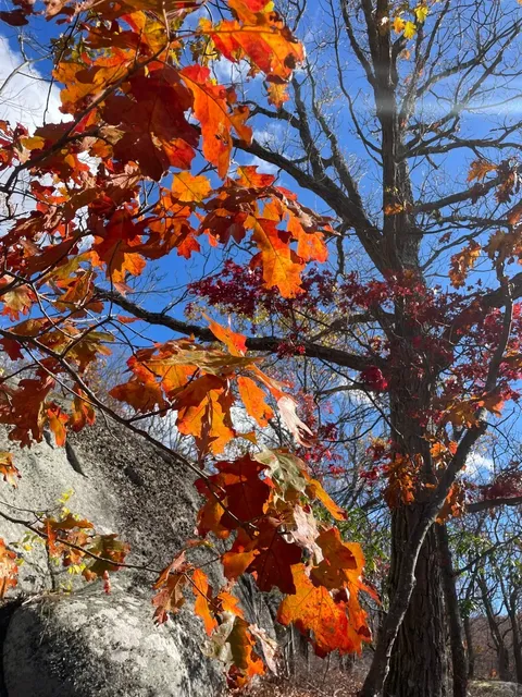🚶‍♀️ Went Hiking ⛰️ Near NYC :)