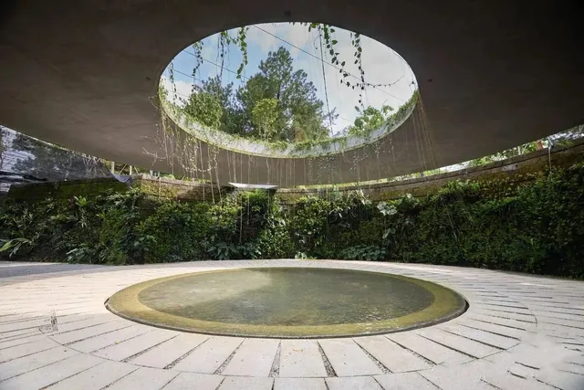 Jurong Lake Gardens' Japanese Garden Reopens in September 🌿