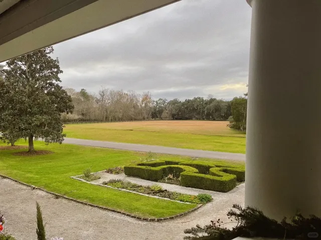 🌸 Southern Charm in Charleston (With Food Recs!)