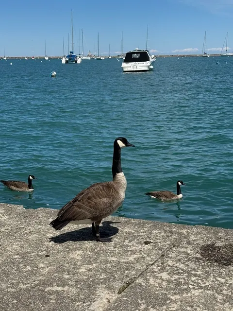 Chicago 2-Day 1-Night Itinerary