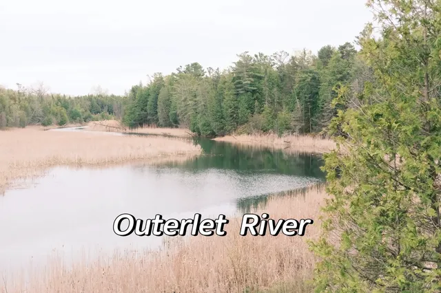 Sandbanks Provincial Park Camping Guide (2.5H from Toronto)