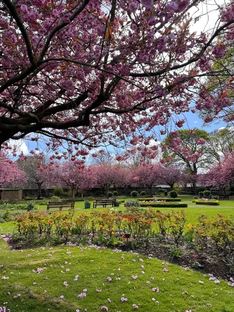 ​​🌸 Edinburgh's Hidden Gem - Starbank Park 🌊​​