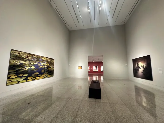 🎨 Family Day at MFAH: Where Art Meets Play 🏟️