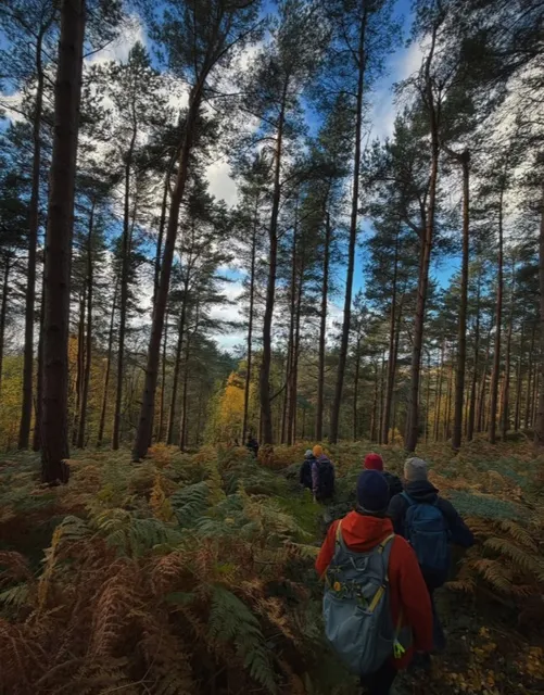 Real-Life Zelda Adventure! Ready to Explore? 🗡️💚