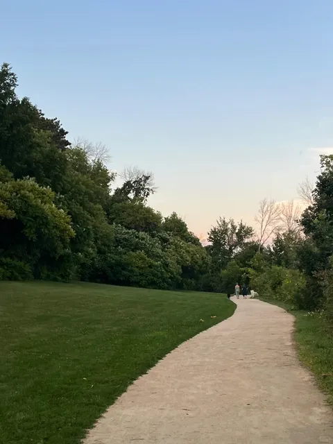 Madison's Eternal Summer！！！！🌞🌻