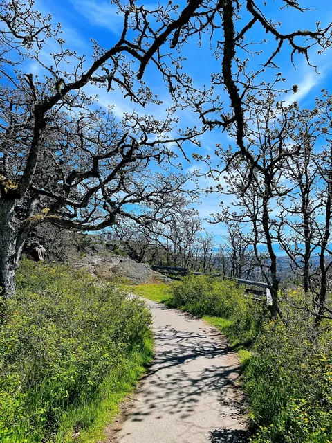 🇨🇦 PKOLS Has Victoria’s Best View