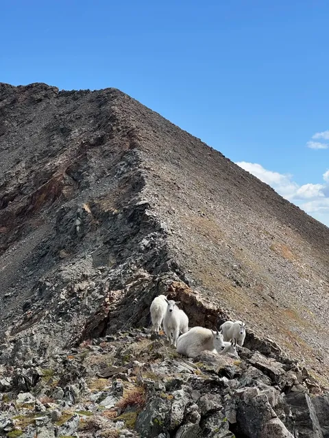 🏔️ Colorado 13er Traverse: Mt. Helen to Father Dyer
