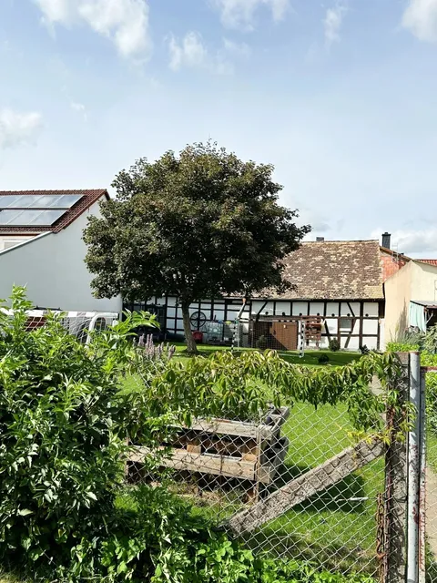 An Unplanned Cycling Adventure Around Jena 🚵‍♂️🌄