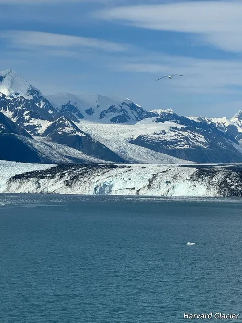 Anchorage Princess Cruise Glacier Guide (Part 1) ❄️🚢