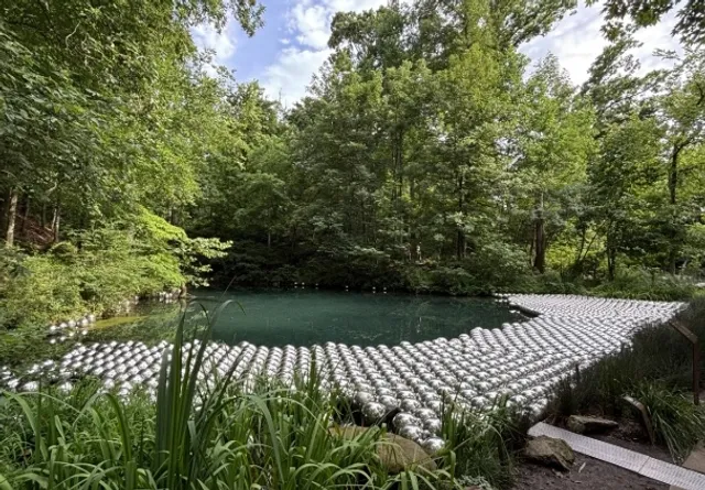 NWA/Bentonville Food, Fun, and Attractions