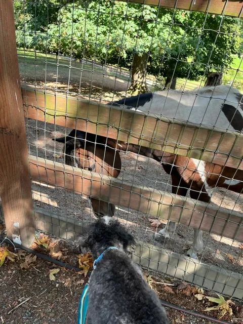 An absolute must-go for a weekend with kids 👶 