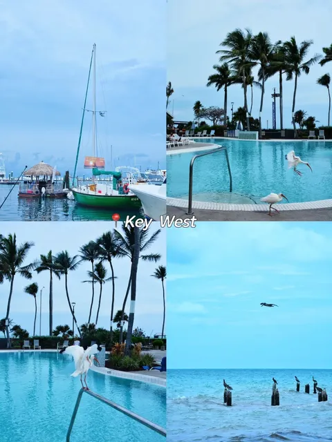 Miami | 4 Days & 3 Nights, Type-A Traveler Approved