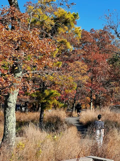 New York and New Jersey Bear Mountain Autumn Scenery Report (2)🍂