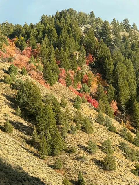 🇺🇸 Bear Lake State Park