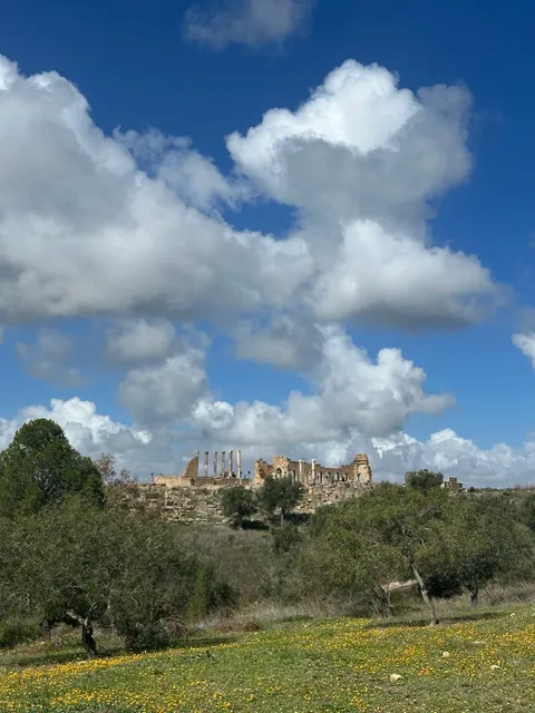 🇲🇦 A Tiny Roman World in Morocco 🏛️✨