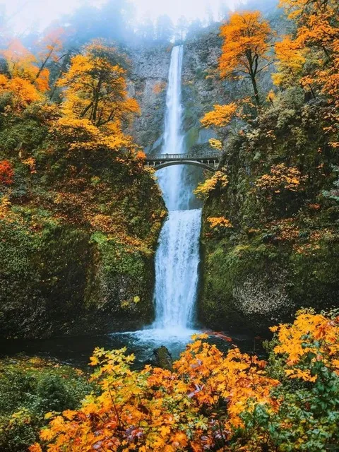 📍 Washington State | A Surreal Wonderland Beyond Imagination 🔮