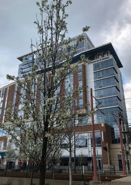 Aloft Cleveland Downtown | A Vibrant Urban Playground in the City