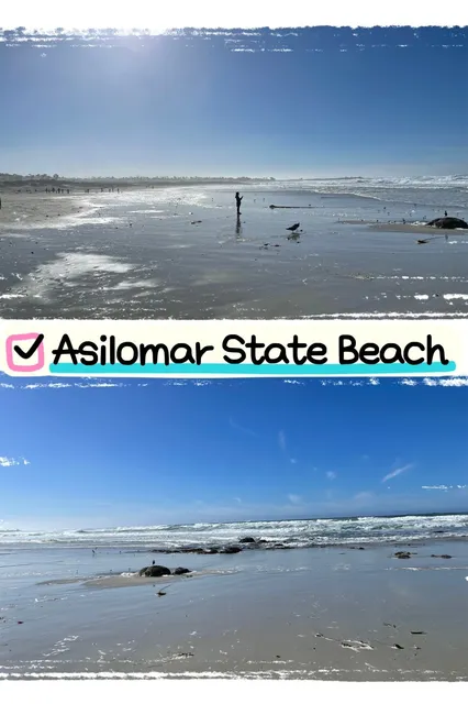 🇺🇸 Monterey Must-Visit Spots – Ultimate Guide