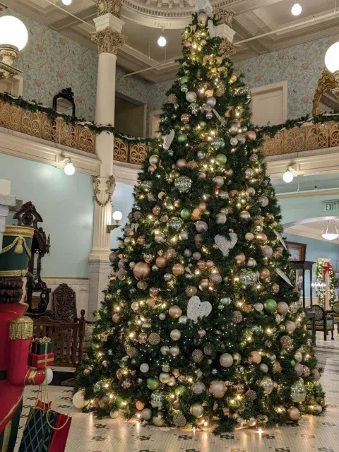 The Only Spirits Here Are in the Glasses! 🥃👻