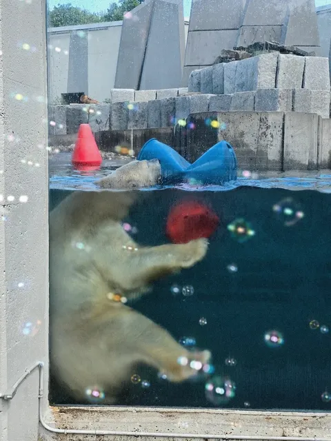 🇨🇦 Winnipeg’s Free Gem: Assiniboine Park