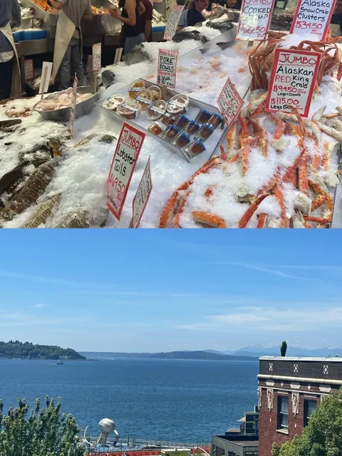 Seattle | The City You’ll Never Want to Leave! 😍