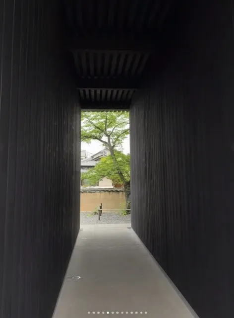 Setouchi Inland Sea | One-Day Itinerary for Naoshima (2) 🌊