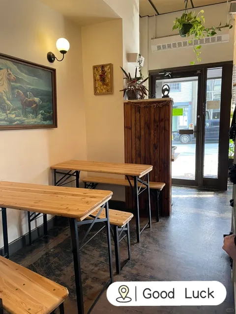 ☕️ Dartmouth/Halifax Coffee Shop Guide: Must-Visit Cafés for Every Moo