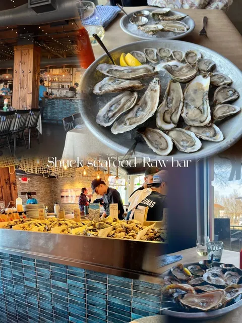 Travel Diary | Halifax Highlights Tour 🇨🇦✨