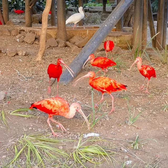🌍 The Nature Spot I Keep Returning to in South Africa 🦏