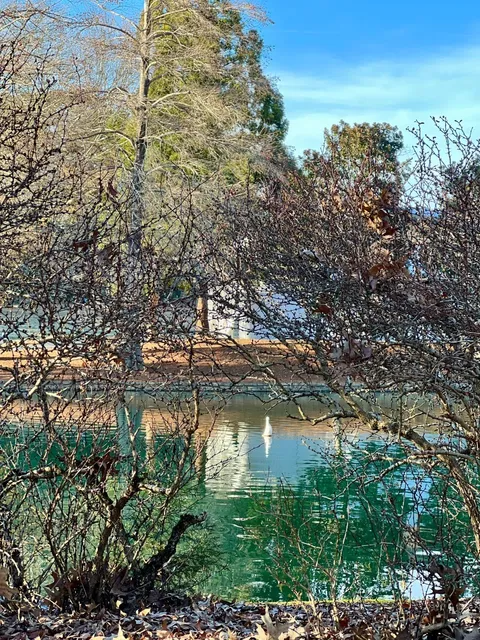 ✨ Hidden Gem in NC: Freedom Park, Charlotte! 🌳