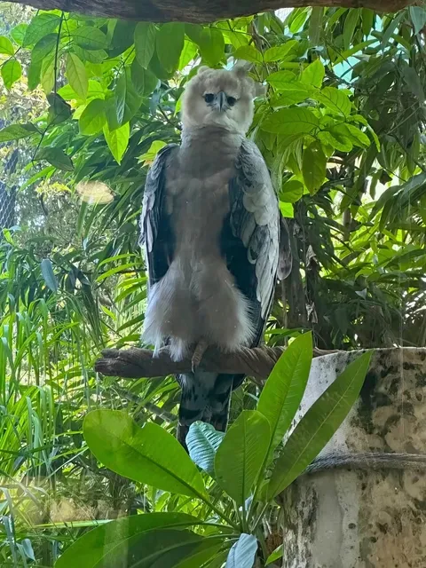 🐠 Dallas World Aquarium: A MUST-Visit Underwater Paradise!