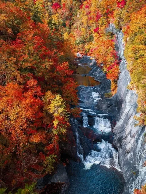 Atlanta 🌆 | Your Weekend Outdoor Adventure Guide 🥾☀️