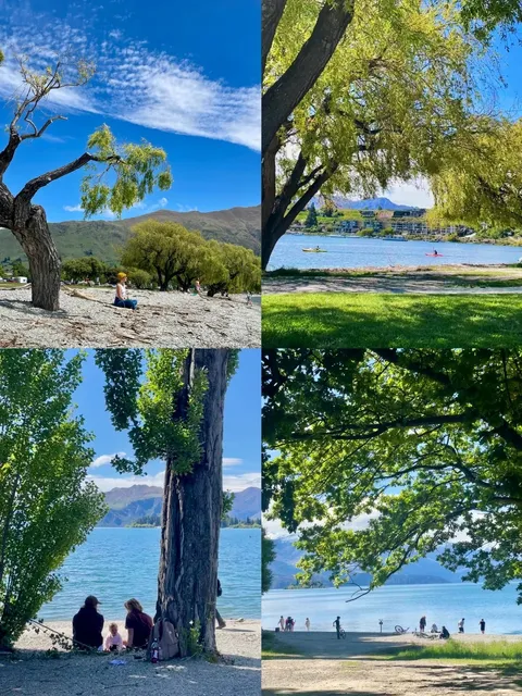 💰 Cost & Itinerary｜12-Day New Zealand Trip