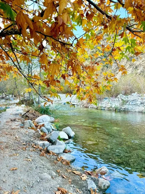 Autumn Adventure at Bonita Falls 🍂🌄