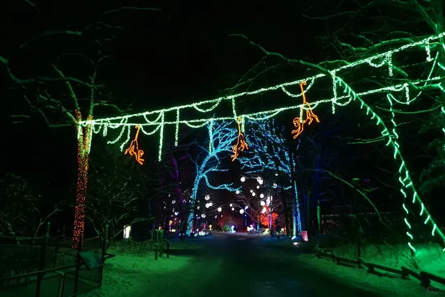 The Ultimate 2-Day Milwaukee Trip Guide 🚗 Recommended for UIUC Friend