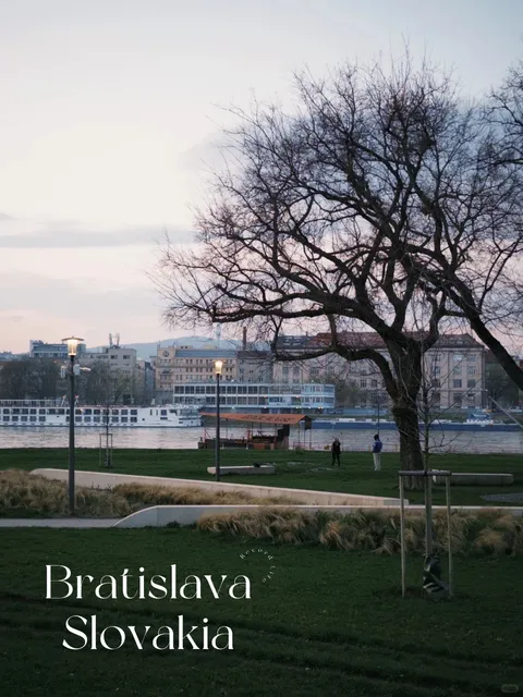 Golden Dusk by the Danube | A Twilight of Homebound Birds 🟡