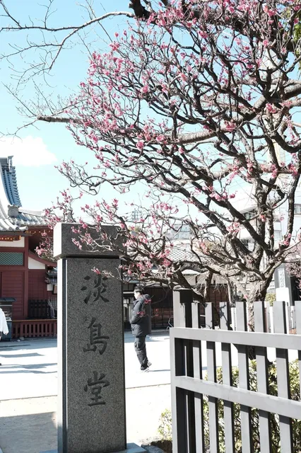 🌟 Ultimate Asakusa Temple Guide (1)
