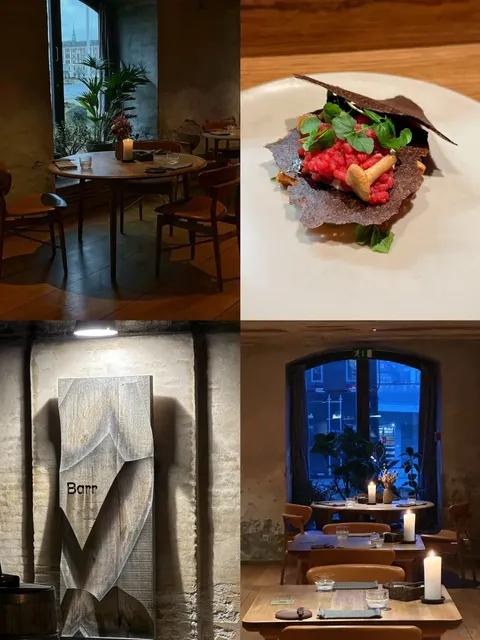  Copenhagen || Dining at the Original Site of the World-Famous Noma