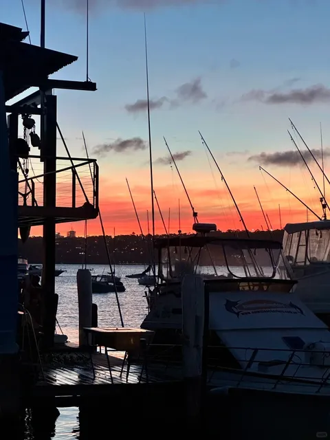  Sydney 3D3N Ultimate Guide | Photo Ops + Food + Adventure!